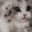 Kitty :kitty: