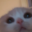 :kitwtf: